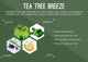 Tea Tree Breeze